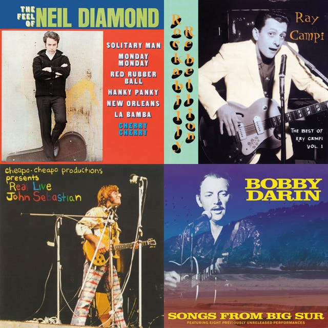 Album cover showing Bobby Darin singing with guitar over a scenic coastal background.